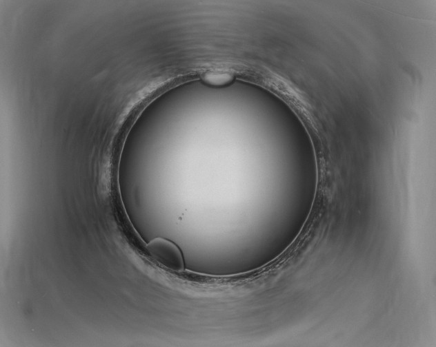 X0000115840012200911131540