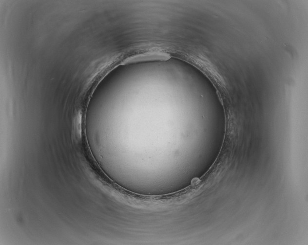 X0000115840014200911131540