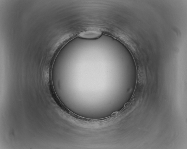 X0000115840015200911131540