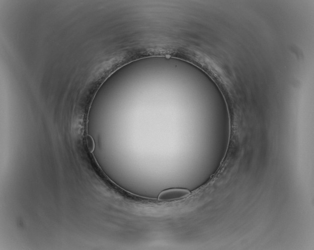 X0000115840017200911131540