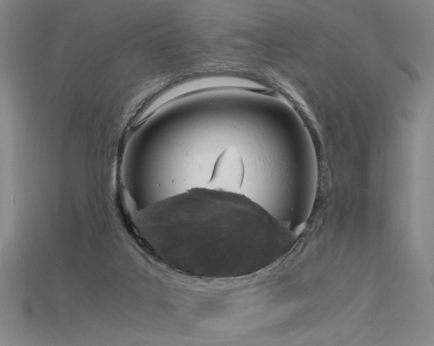X0000115840019200911131540