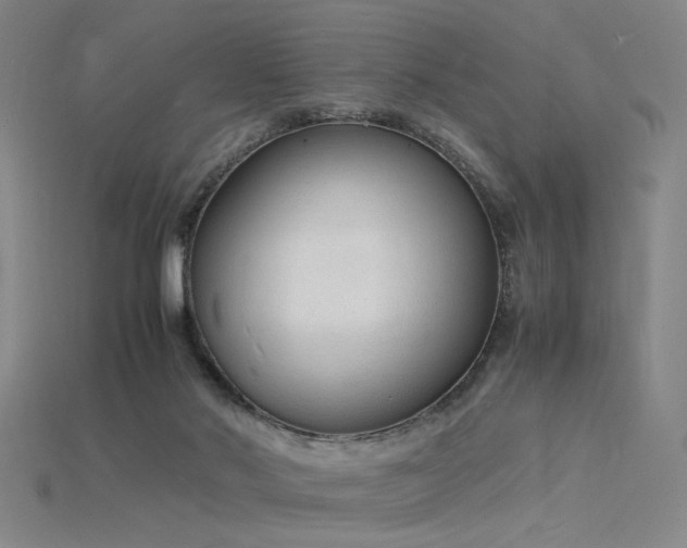 X0000115840022200911131540