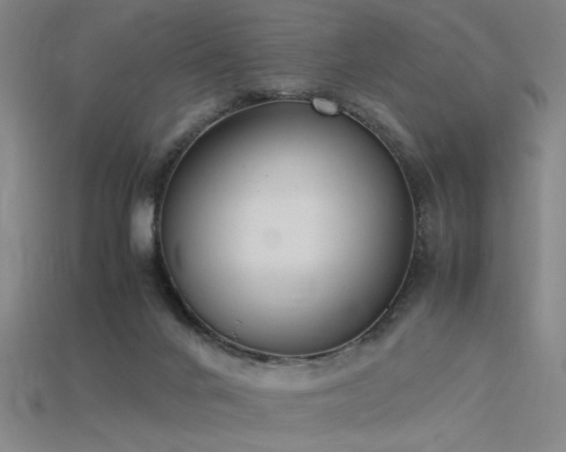 X0000115840024200911131540
