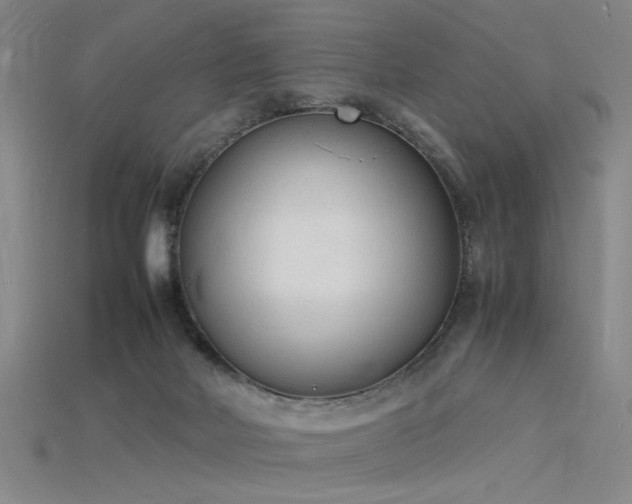 X0000115840026200911131540