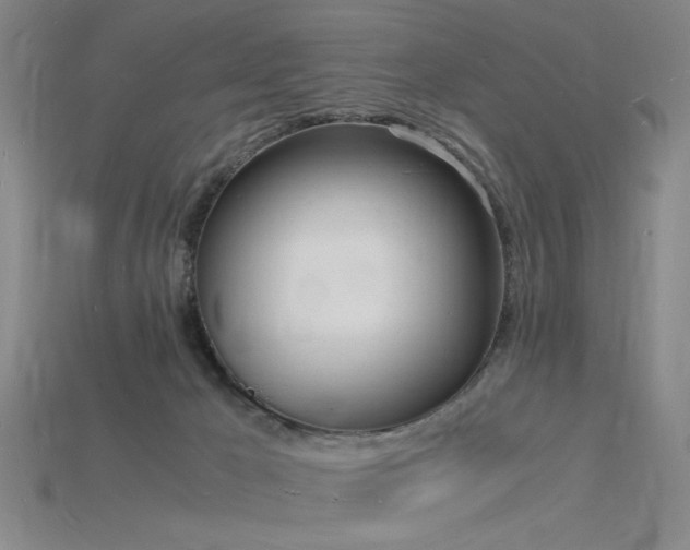 X0000115840029200911131540