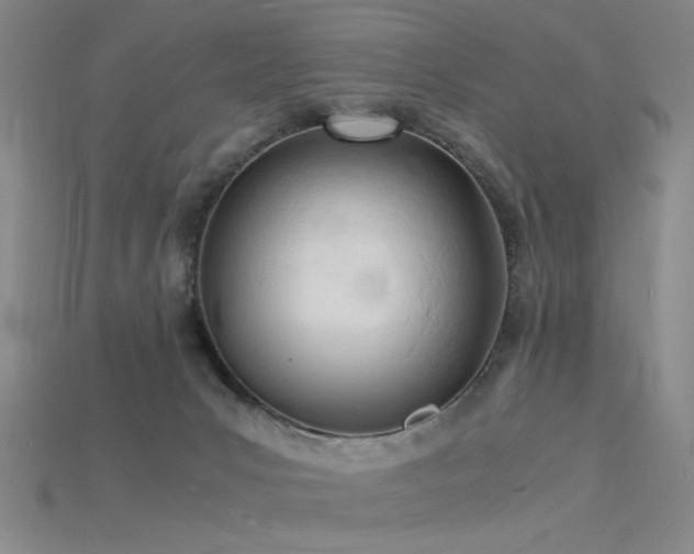 X0000115840031200911131540