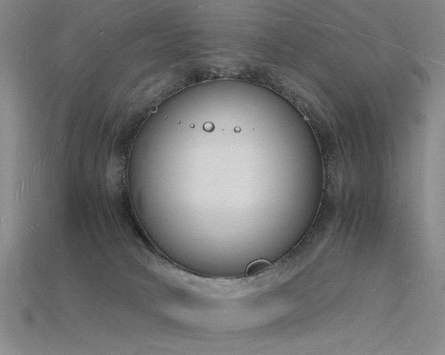 X0000115840034200911131540