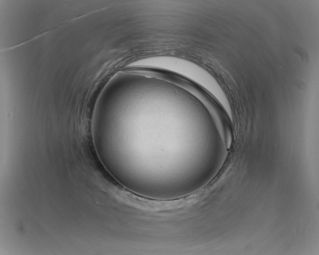 X0000115840035200911131540