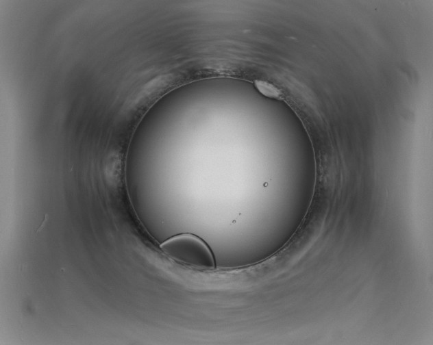 X0000115840036200911131540