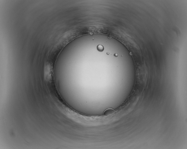 X0000115840038200911131540