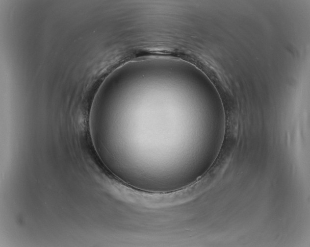 X0000115840039200911131540