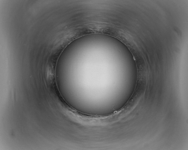 X0000115840040200911131540
