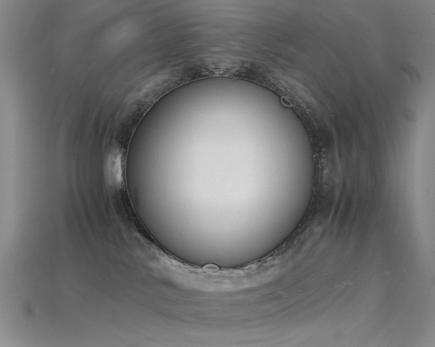 X0000115840042200911131540
