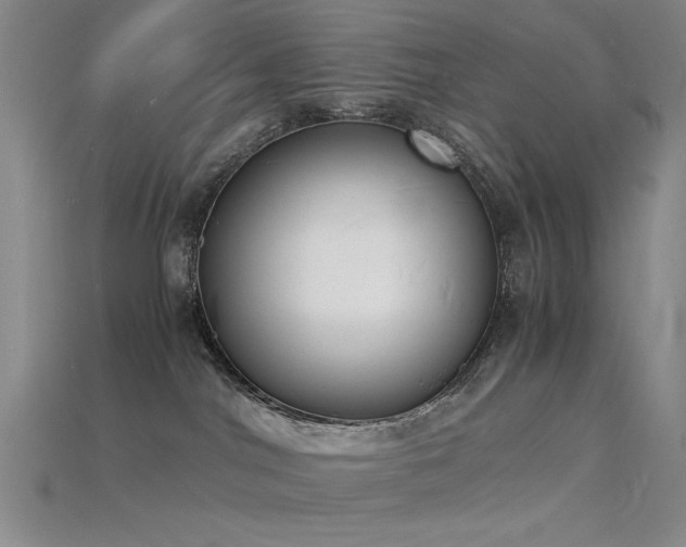 X0000115840044200911131540