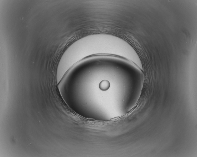 X0000115840045200911131540