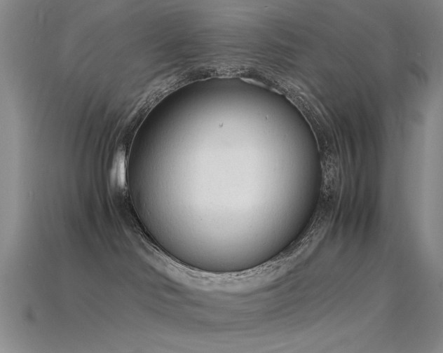 X0000115840046200911131540