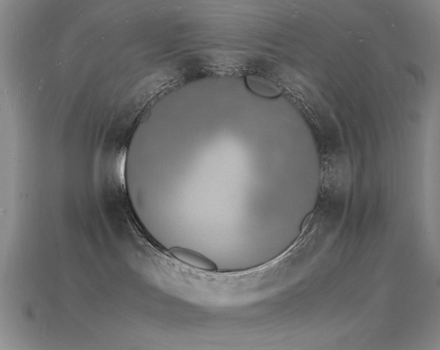 X0000115840047200911131540