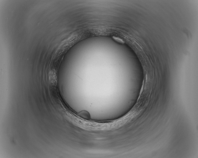 X0000115840048200911131540