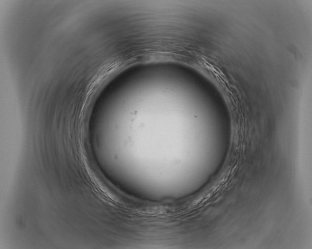 X0000115840049200911131539