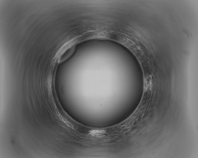 X0000115840051200911131539