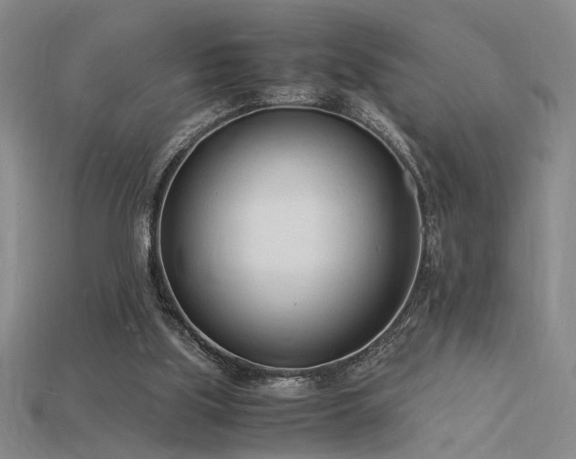 X0000115840059200911131539