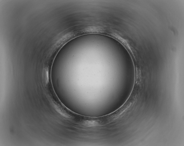 X0000115840061200911131539