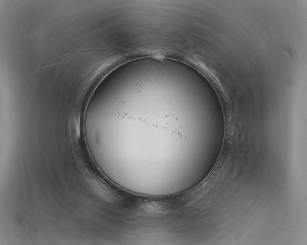 X0000115840062200911131539