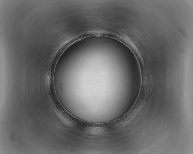 X0000115840063200911131539