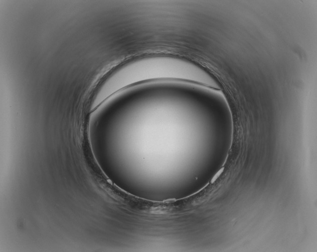 X0000115840064200911131539