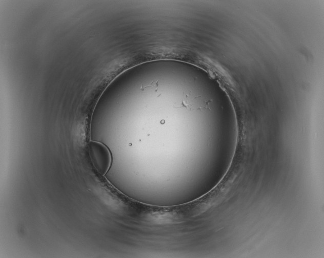 X0000115840065200911131539