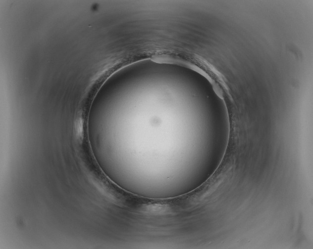 X0000115840067200911131539