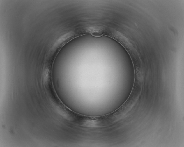 X0000115840071200911131539