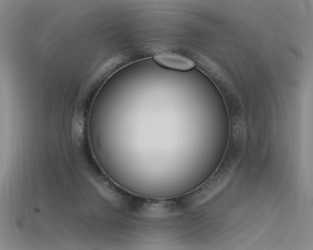 X0000115840072200911131539