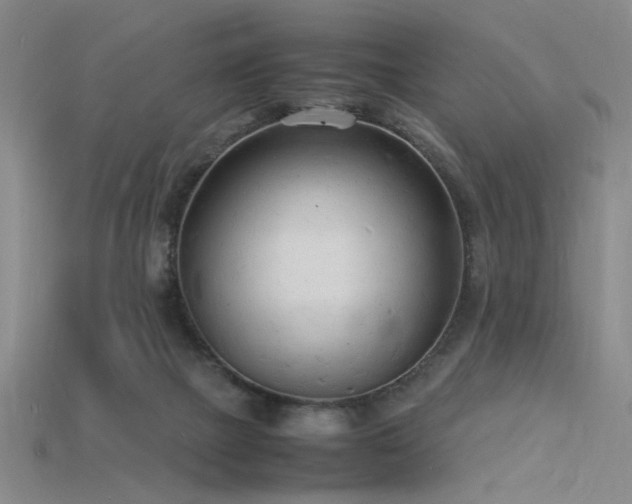 X0000115840073200911131539