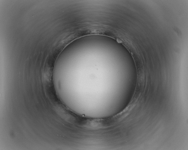 X0000115840078200911131540