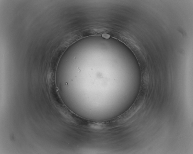 X0000115840079200911131540