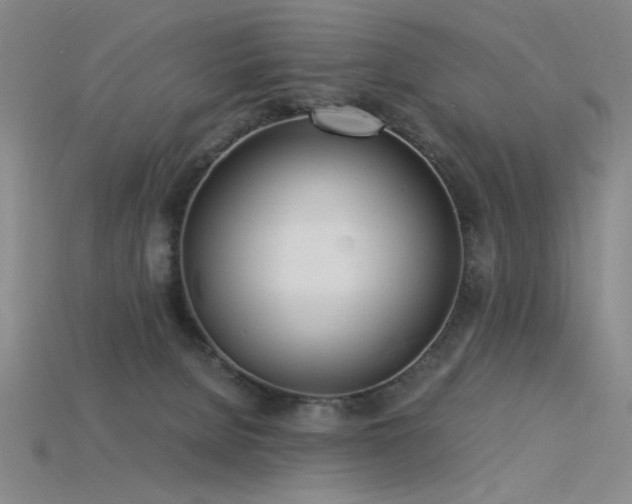 X0000115840080200911131540