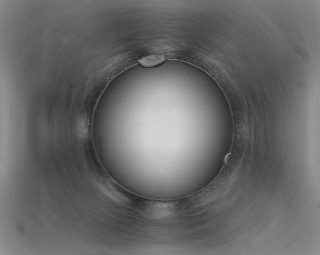 X0000115840081200911131540