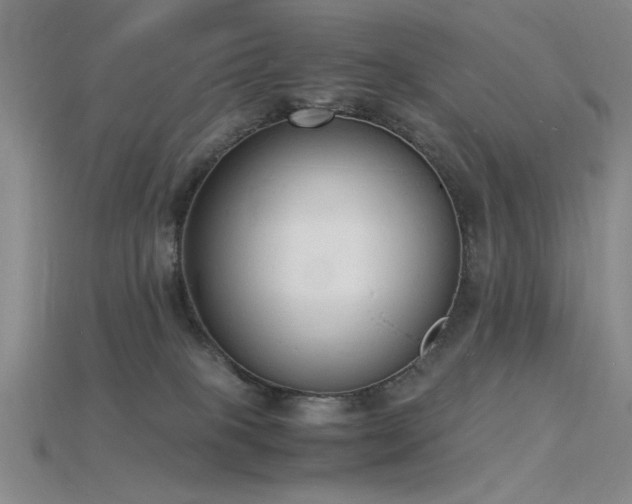 X0000115840085200911131540