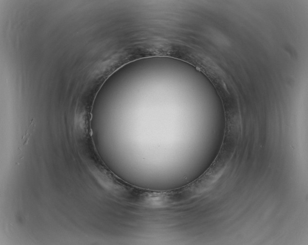 X0000115840088200911131540