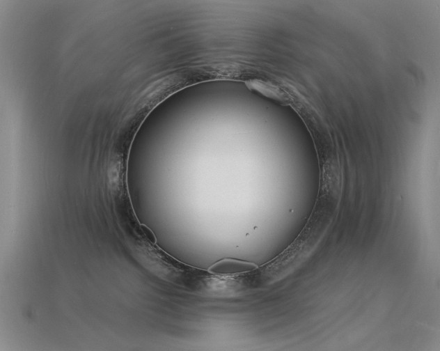 X0000115840092200911131540