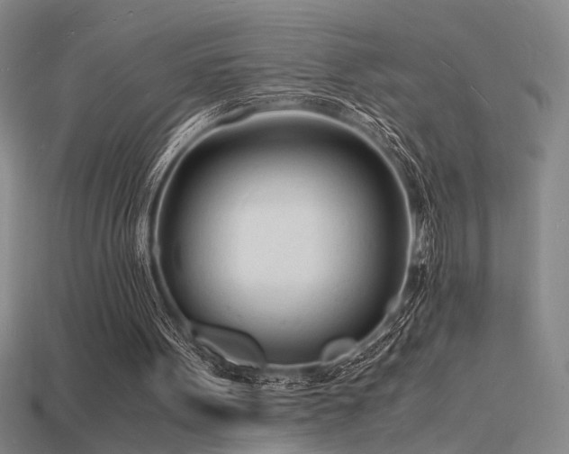 X0000115840099200911131539