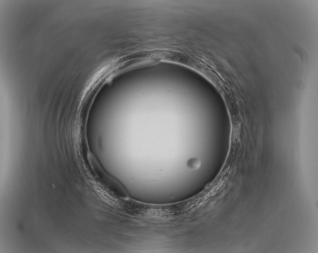 X0000115840101200911131539