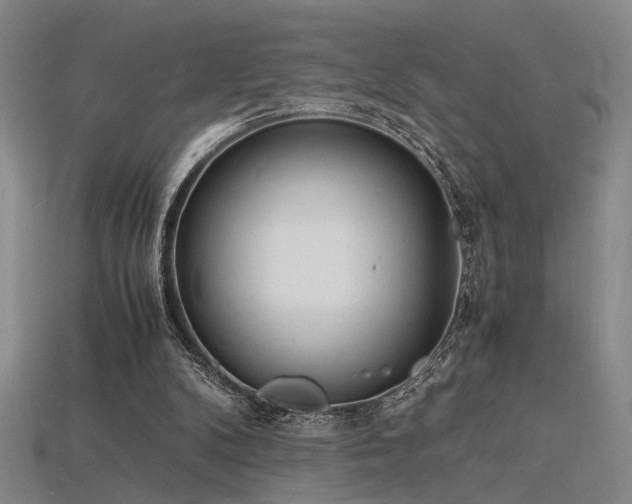 X0000115840104200911131539