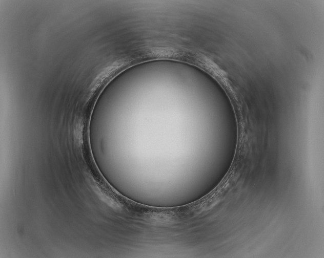 X0000115840106200911131539