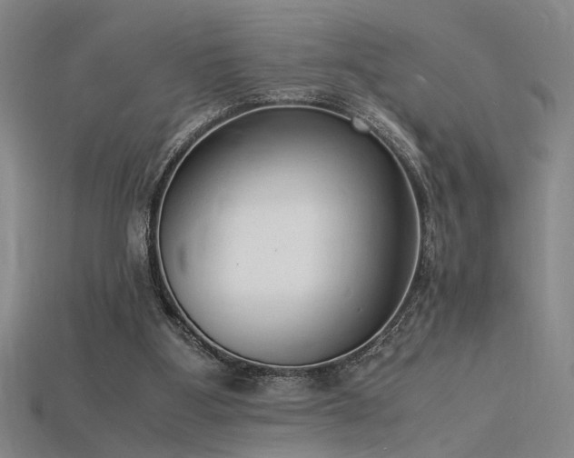 X0000115840107200911131539