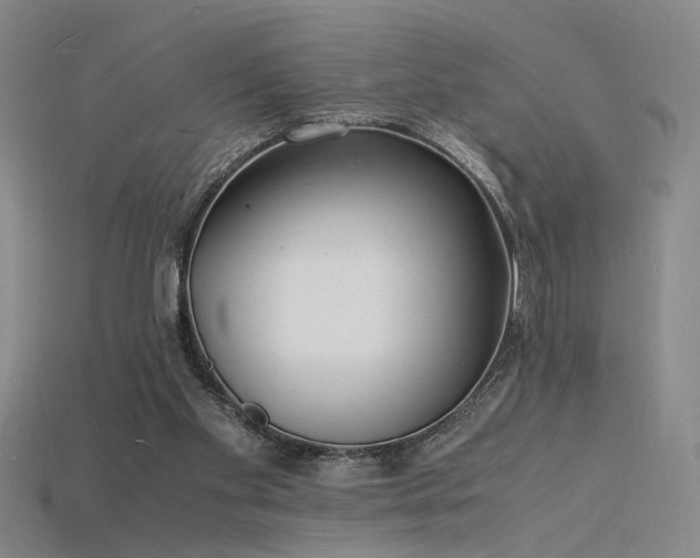 X0000115840109200911131539