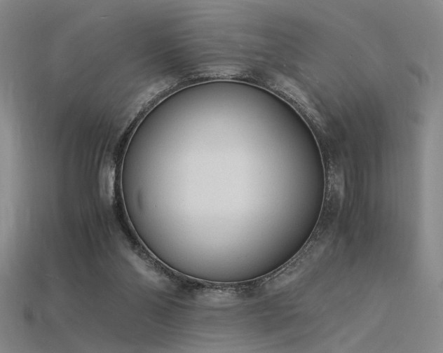 X0000115840110200911131539