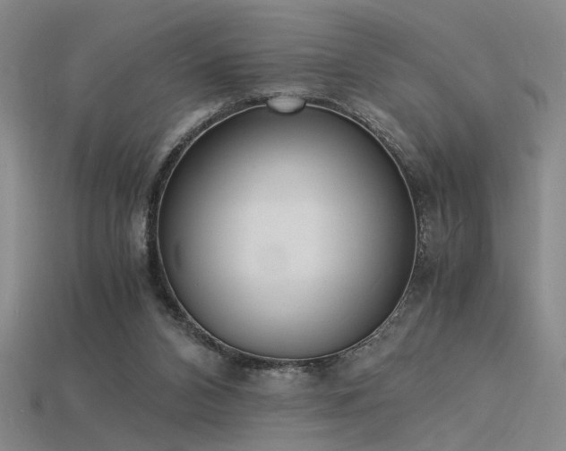 X0000115840112200911131539