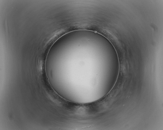 X0000115840115200911131539